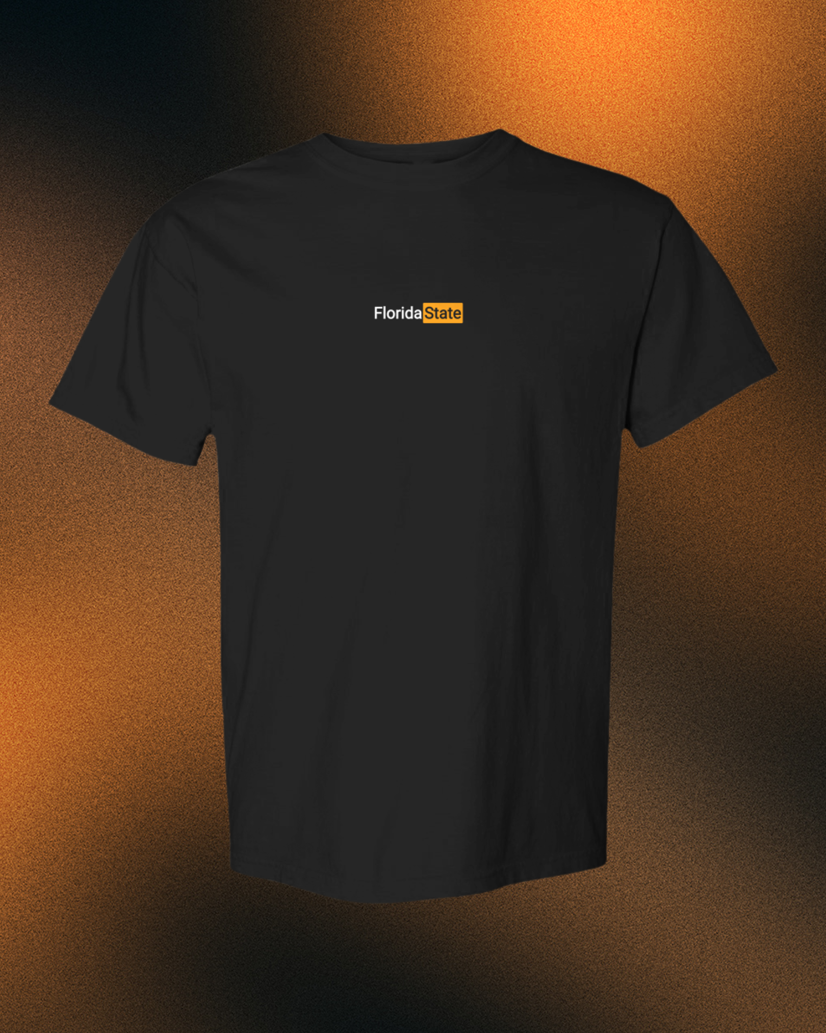 FLORIDA STATE ADULT CONTENT TEE